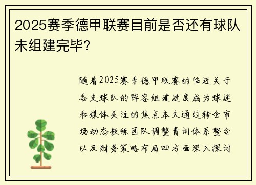2025赛季德甲联赛目前是否还有球队未组建完毕？